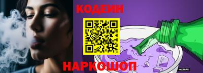 МДПВ Камышлов