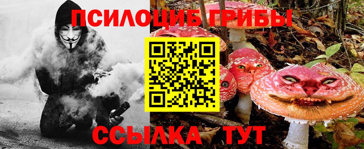 Псилоцибиновые грибы ЛСД Кувандык