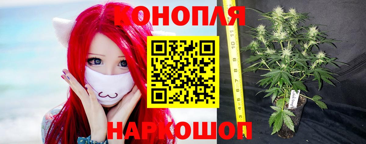 Конопля Ganja Кувандык